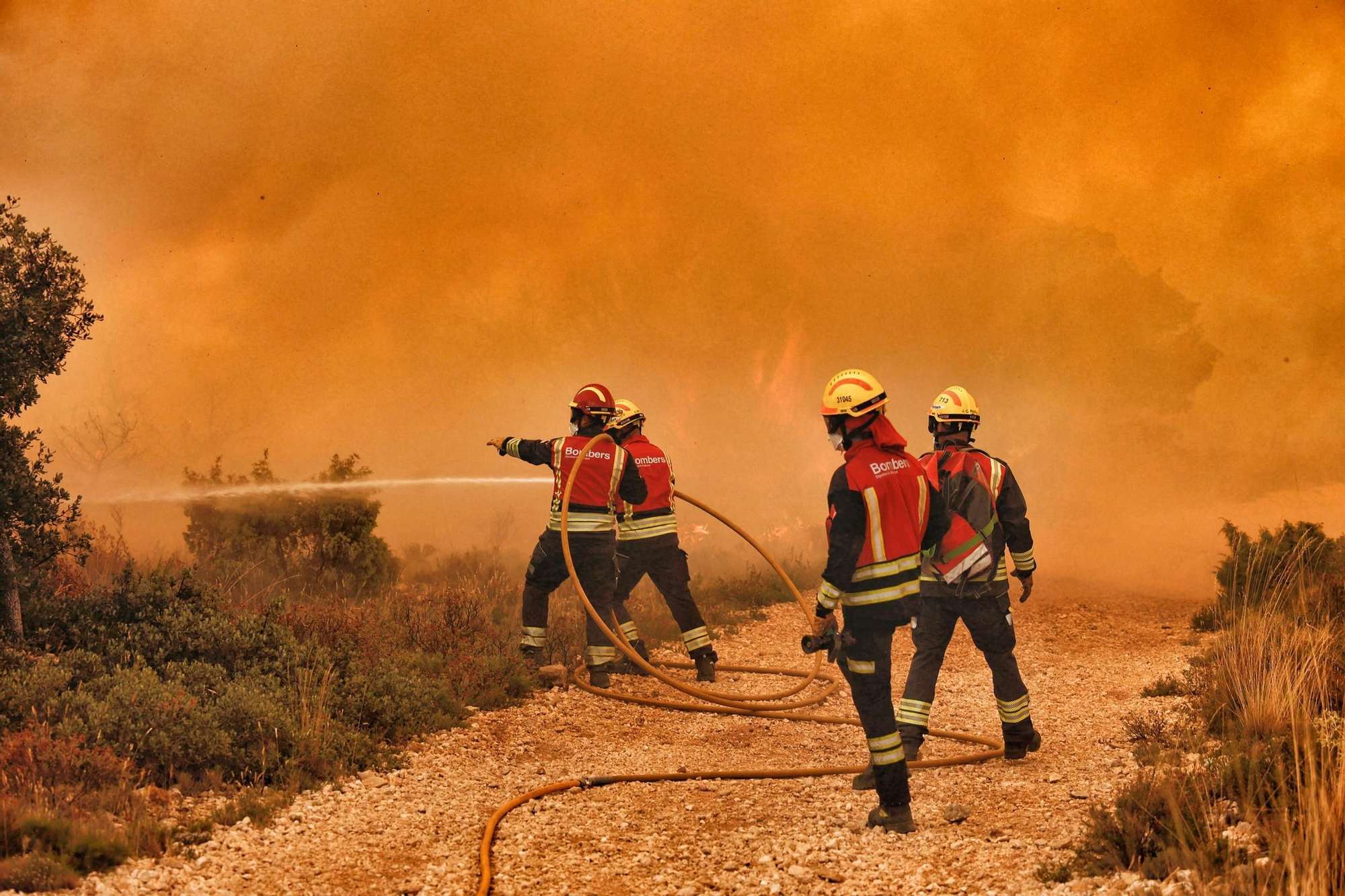 Incendio en el paraje de San Pascual en Ibi