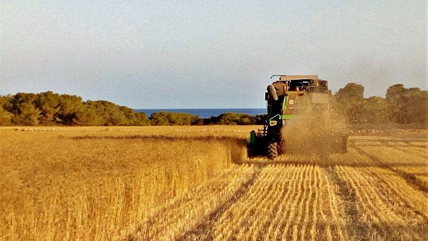 La cesión de tierras permite mejorar el paisaje rural. | COOPERATIVA DEL CAMPO