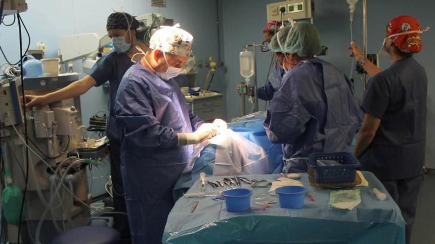 Proceso de extracción de órganos en un quirófano del Hospital Universitario de la Ribera. | LEVANTE-EMV