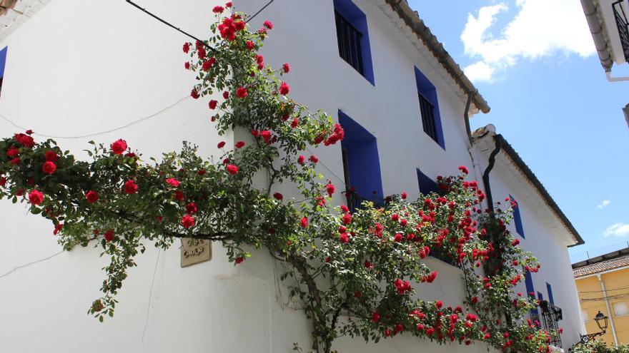 Las fachadas en Aras de los Olmos tienen un rosal que demuestran la importancia de la flora para sus vecinos.