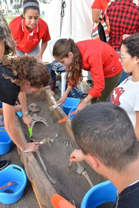 MINIFERIA SEMANA DE LA CIENCIA