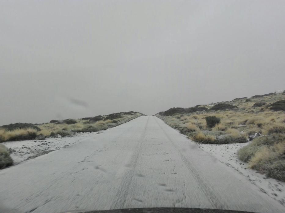 Izaña cubierto de blanco por un manto de nieve