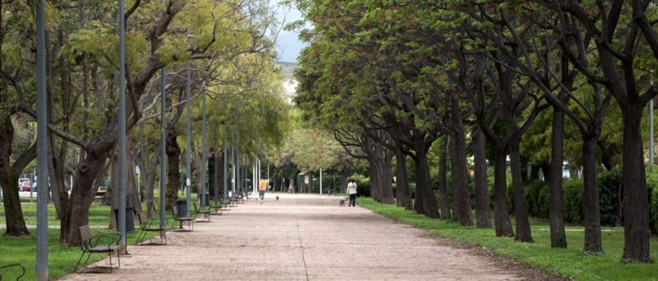 El parque Joan Fuster está en dos de las propuestas finalistas. | LEVANTE-EMV