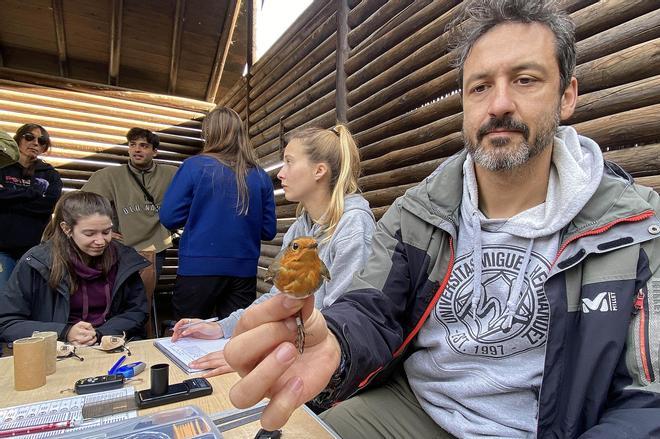 Anillamiento de aves en el Clot de Galvany de Elche