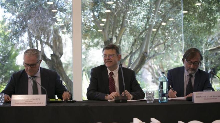 San Alfonso y Benihort lideran la labor de las cooperativas agrarias de la Comunitat