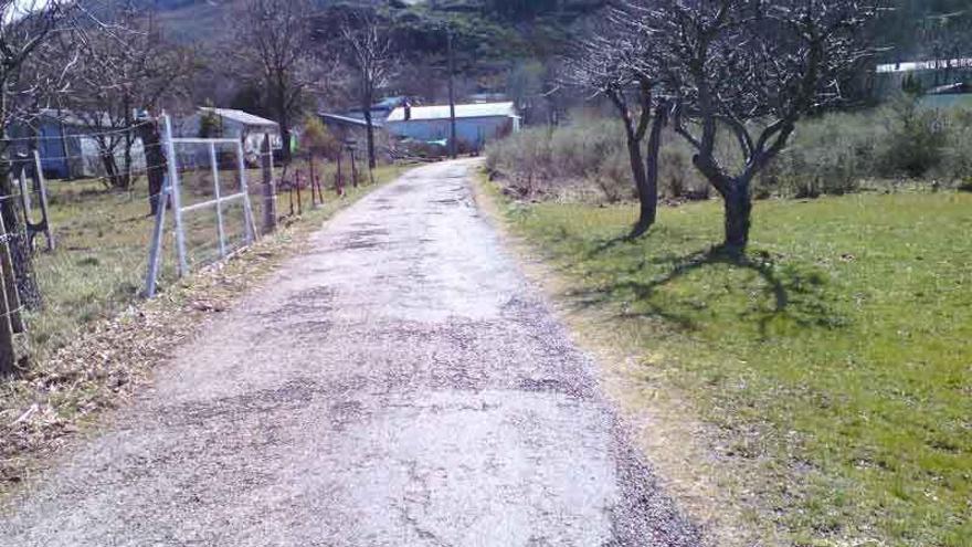 Estado que presenta el camino de La Retuerta, en Ribadelago.