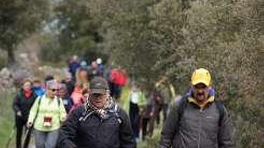 Entrenamiento para el Camino de Santiago Foto Asociación de Diabéticos