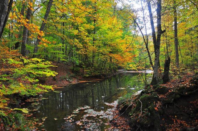 Parque Nacional de Bolu Yedigoller, Turquía