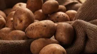 ¿Qué pasa si comes patatas todos los días?
