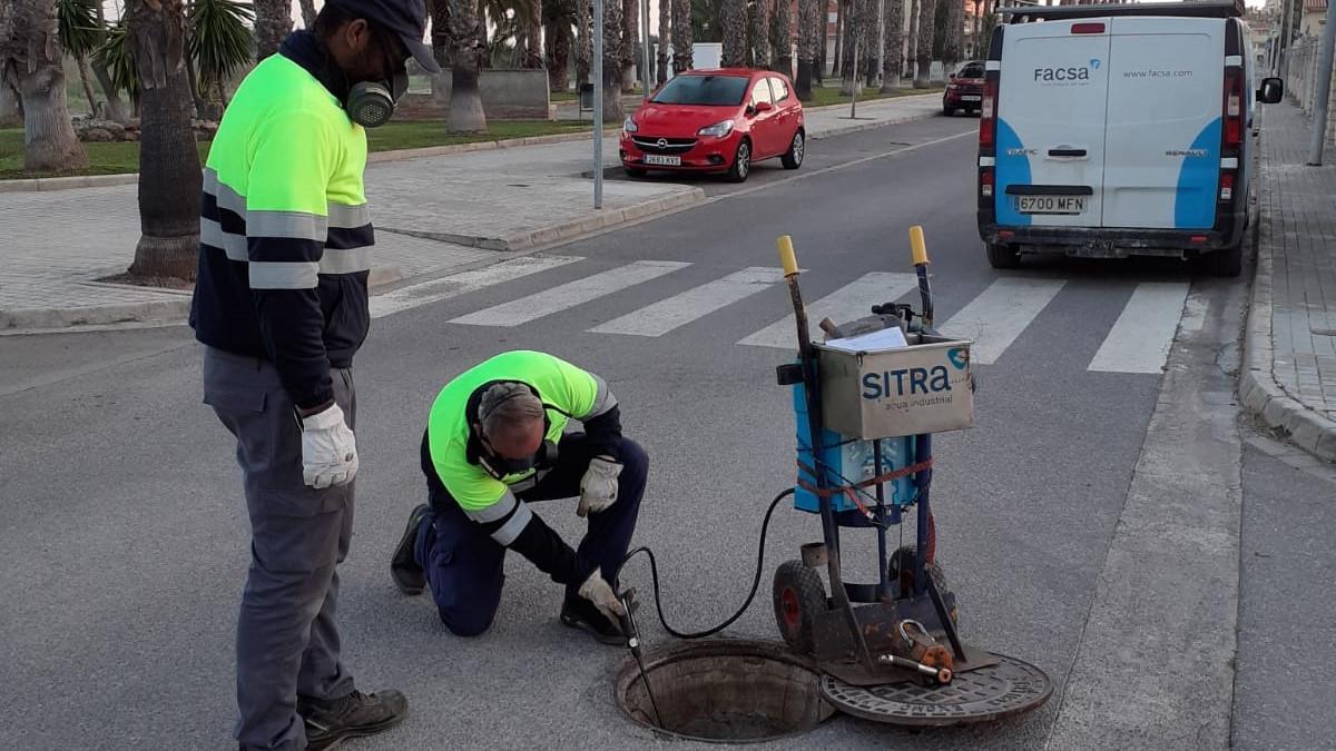 Tratamientos preventivos contra plagas ante el aumento de temperaturas.