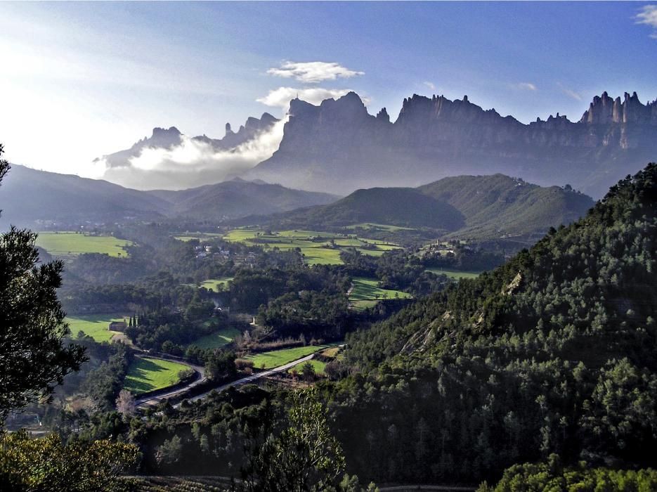 Concurs de fotografia del Parc de Montserrat