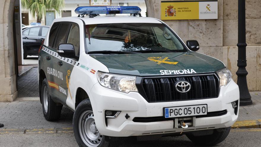 Investigado un vecino de Tortosa por mutilar la cola de tres cachorros de perro