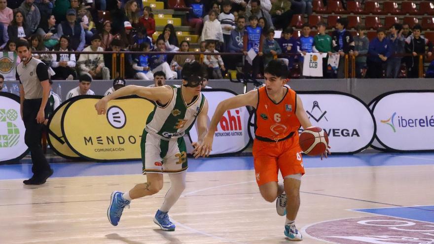 Coto Córdoba Baloncesto - Sagrado Corazón Cáceres : el partido en imágenes