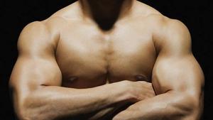 Entrenamiento de bíceps: claves y propuestas para un resultado óptimo