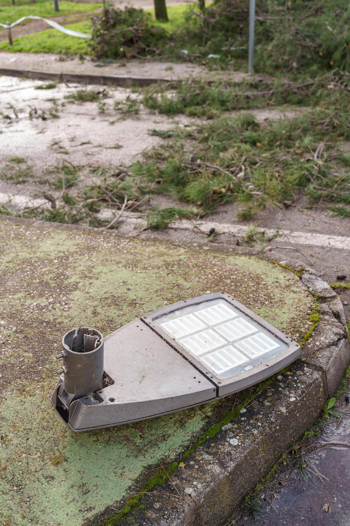Efectos del temporal Leonardo a su paso por Mérida