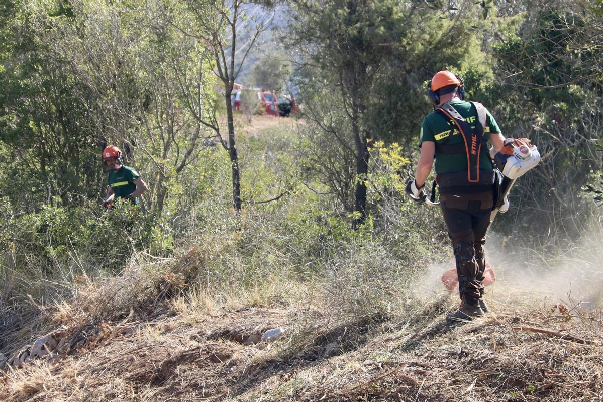 Trabajos de hace pocos días en el macizo del Garraf.