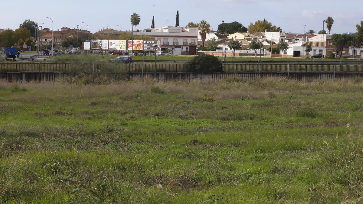 Parte de los terrenos donde se ubicará el futuro parque de Poniente-Miralbaida.