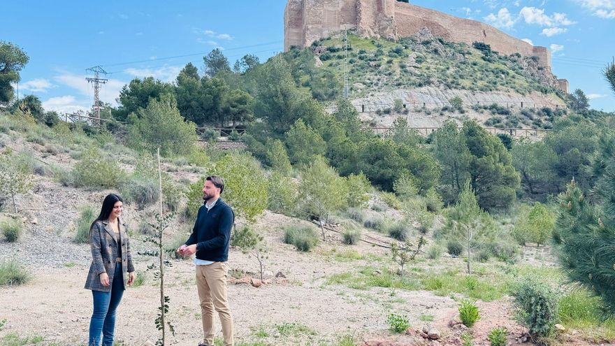 Enriquecen las laderas del cerro del Castillo de Lorca con más de 1.500 plantas
