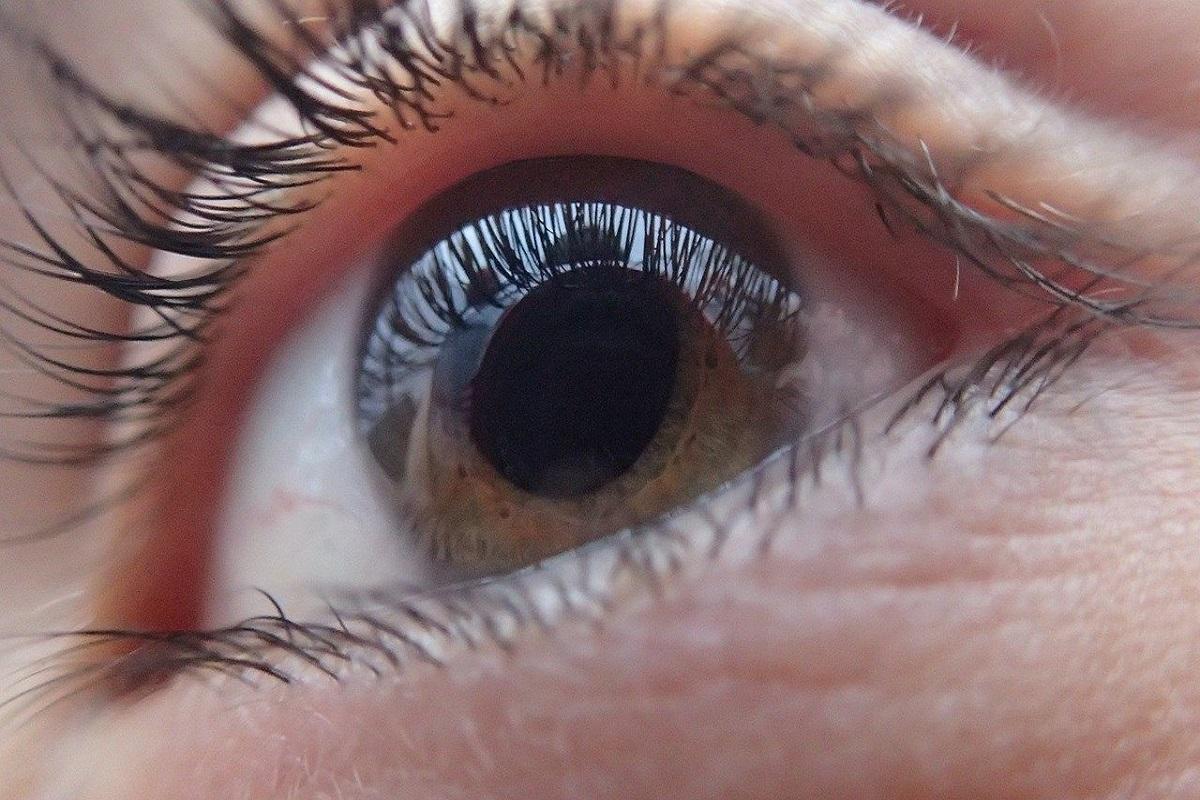 El 3% de los mayores de 40 años en España tiene glaucoma