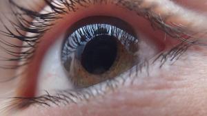 El 3% de los mayores de 40 años en España tiene glaucoma