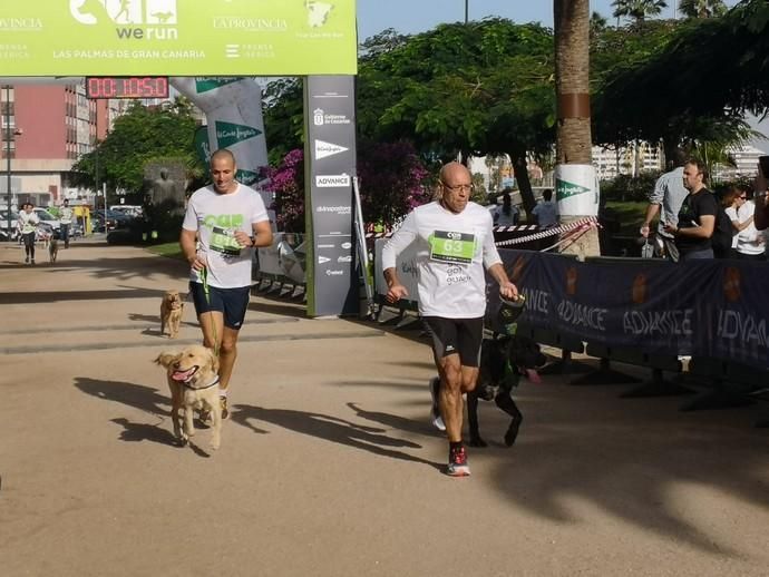 Carrera de mascotas Can We Run