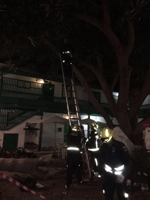 Caída de un árbol en Costa Teguise