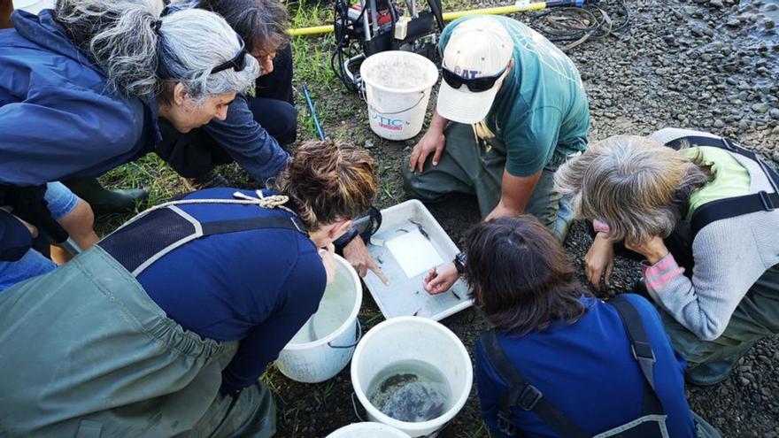 Els participants en la jornada d’observació al Segre | AJ SEU