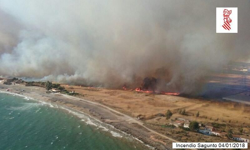 Incendio forestal en el Marjal dels Moros en Sagunt