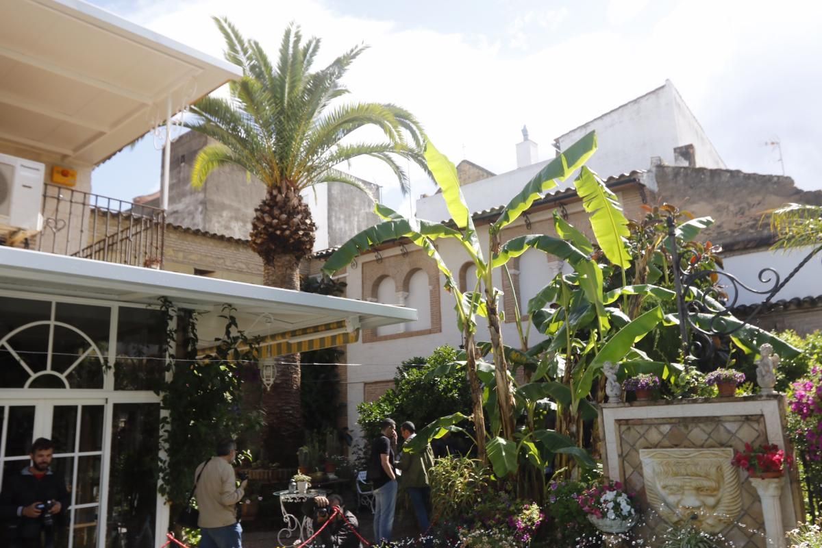 Fotogalería / Plantas singulares en los Patios de Córdoba