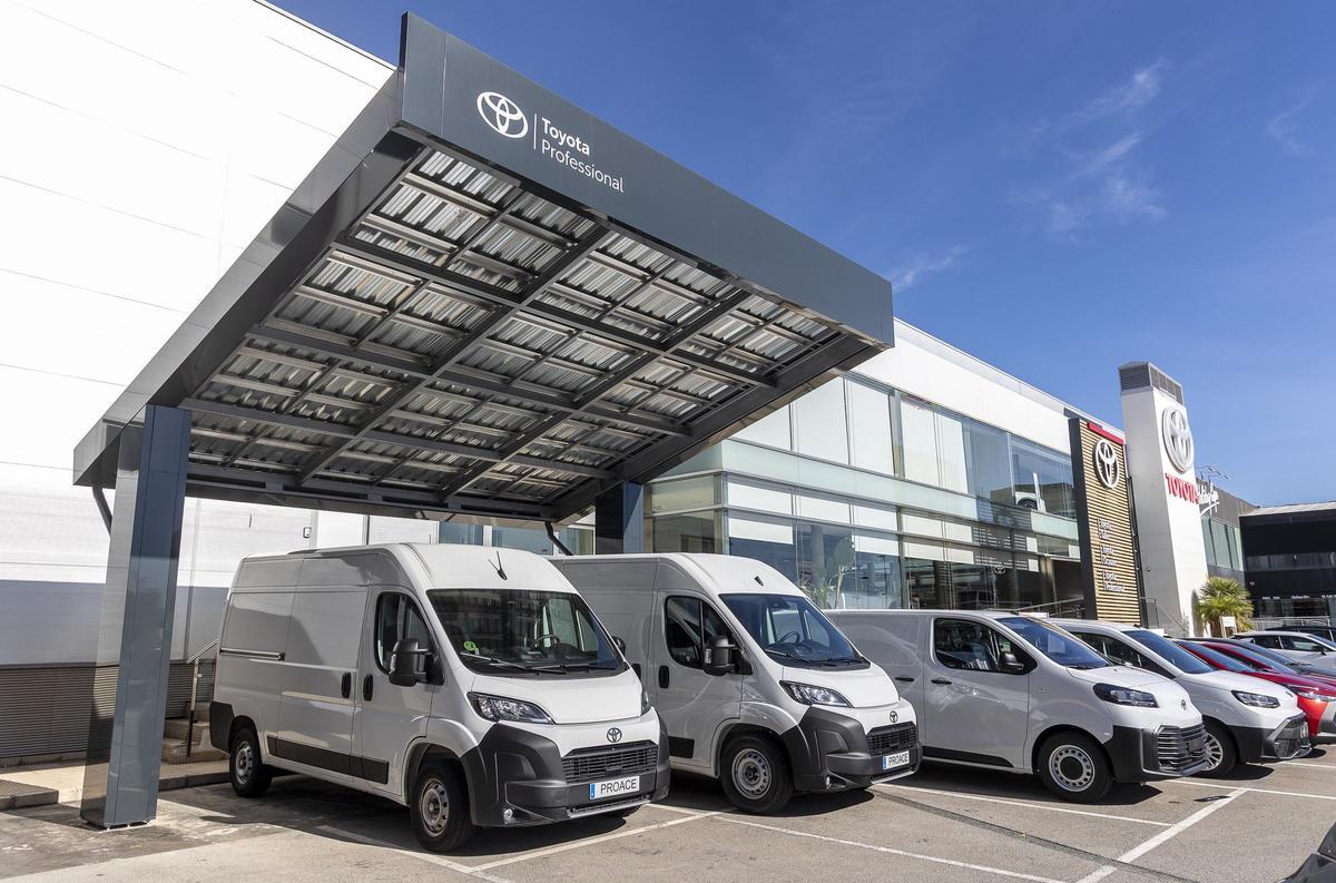 Este centro ofrece un servicio integral enfocado en las necesidades del cliente profesional en toda la provincia de Alicante.