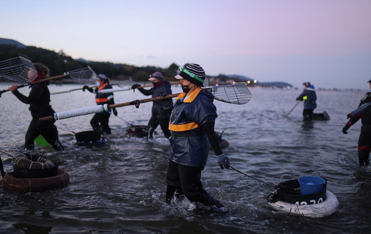 Las mariscadoras tradicionales gallegas pasan la antorcha a una nueva generación.