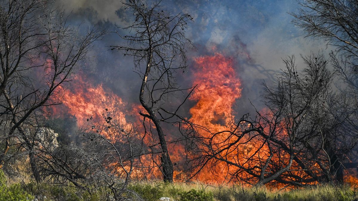 Marsella, la segunda ciudad de Francia, asediada por un violento incendio forestal