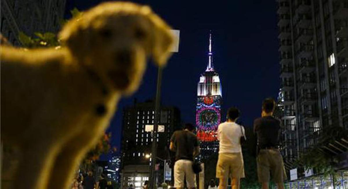 Un perro se cruza en esta instantánea de la proyección en el Empire State Building.