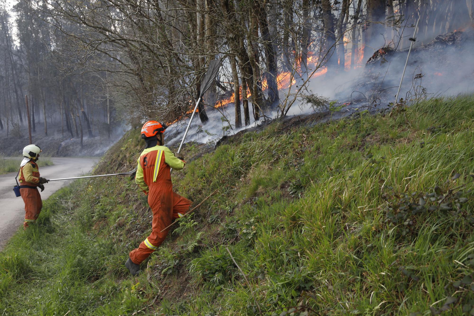 Bomberos de Asturias atrapando el fuego entre Naraval y Paredes