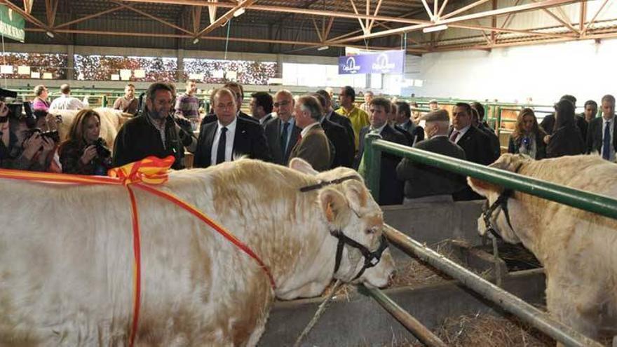 Una apuesta por la sanidad animal