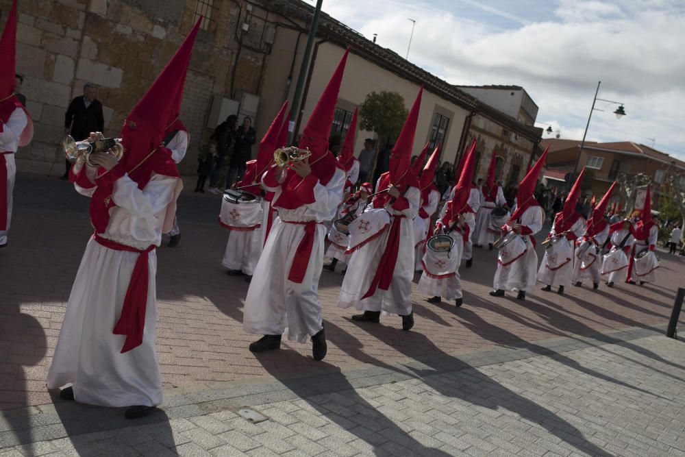 Semana Santa en la provincia 2019 | Domingo de Ram