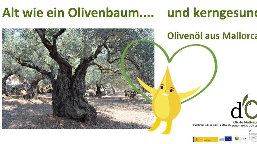 Alt wie ein Olivenbaum