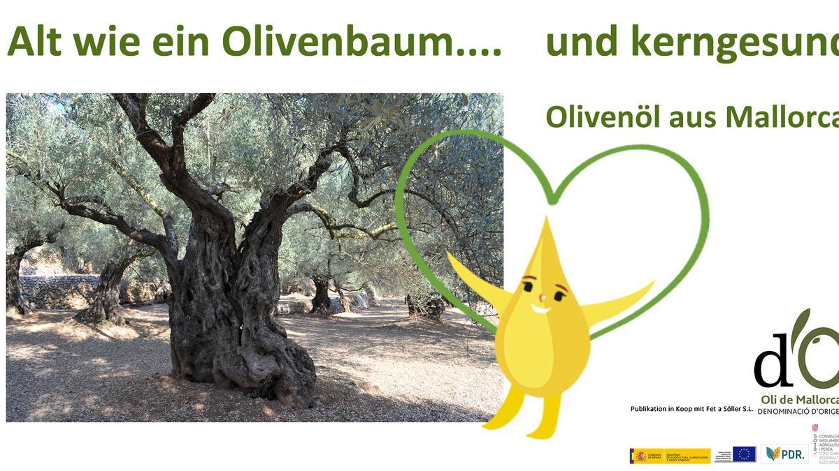 Alt wie ein Olivenbaum und kerngesund