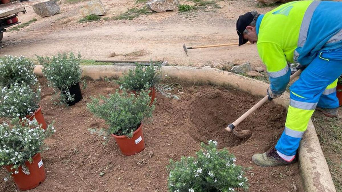 Un operario del servicio de jardinería. | ASA