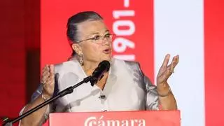 Dolores Guillamón, presidenta de la Cámara de Comercio de Castellón, reclama que la viabilidad de la cerámica sea "una cuestión de Estado"