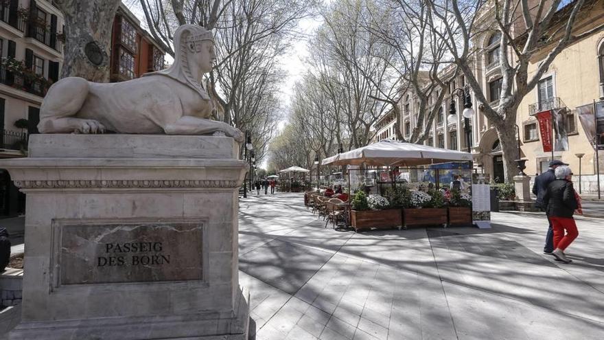 La última consulta ciudadana fue sobre las terrazas del Born.