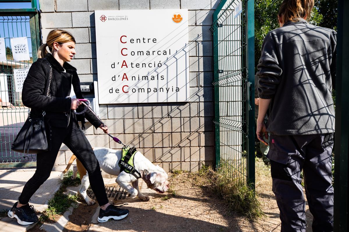 La gestión del Centre Comarcal d'Atenció d'Animals de Companyia estaba asignada al CCB