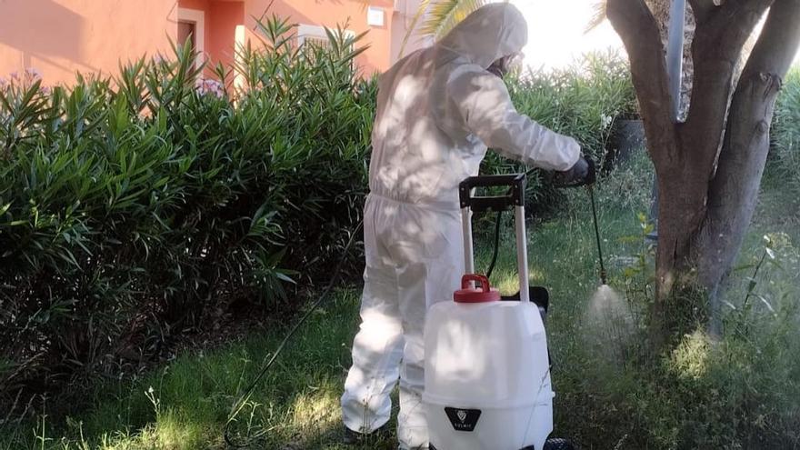 Un operario pulveriza un espacio verde de Benigànim con el tratamiento para combatir el mosquito tigre.