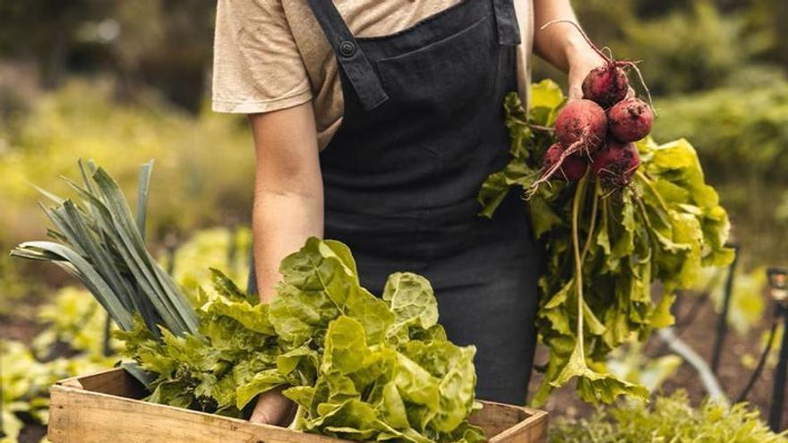 BBVA ofrece un año de IA gratuita a agricultores y ganaderos para digitalizar el sector agrario español