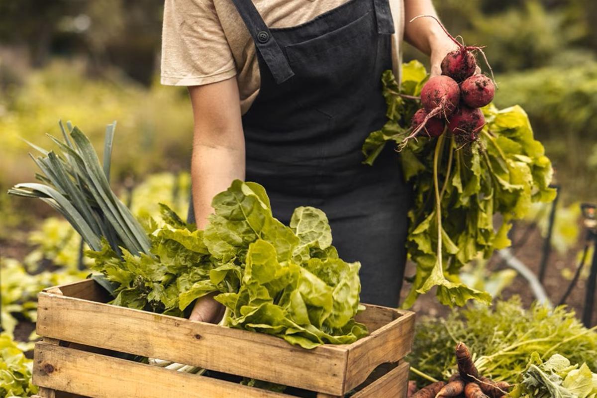 BBVA impulsa la inteligencia artificial en el campo
