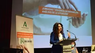 El teléfono contra la violencia intrafamiliar andaluz logra buena acogida