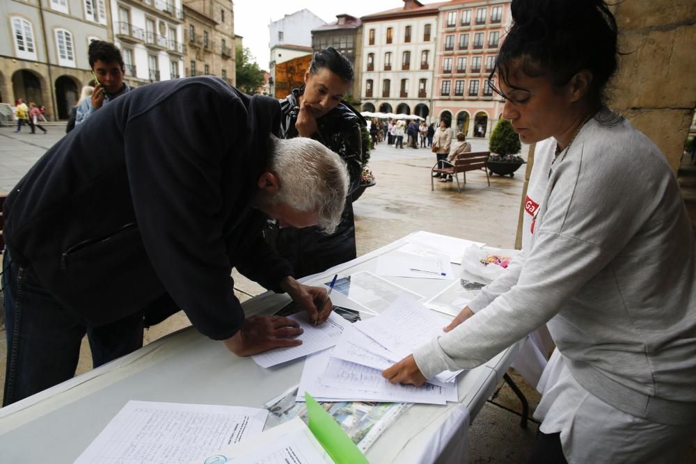 Concentración para reclamar un albergue de animales en Avilés