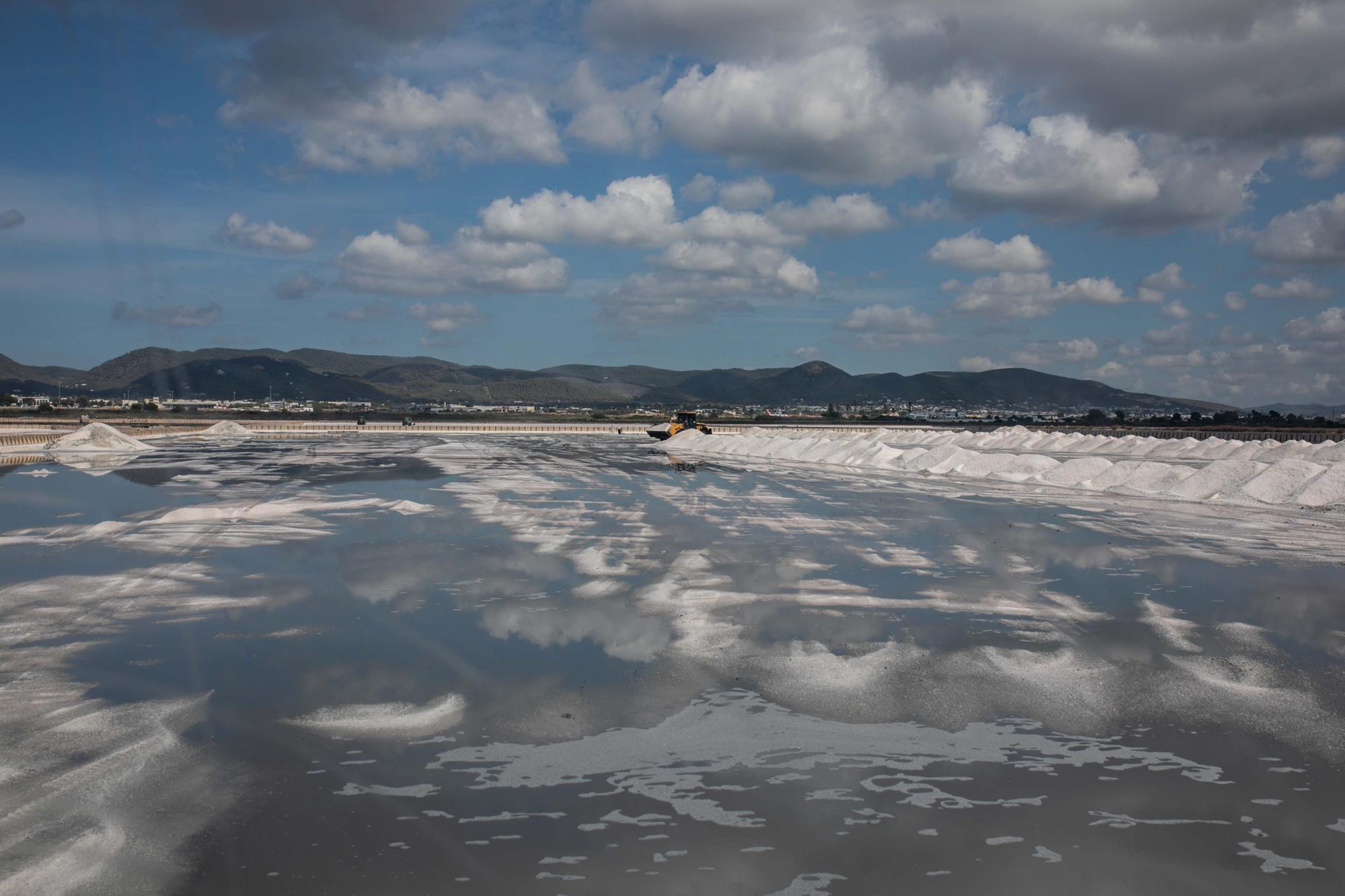 Salinera de Ibiza