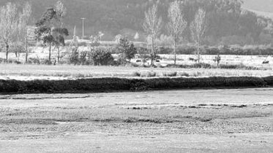 Una barca navegando por la ría de Villaviciosa.