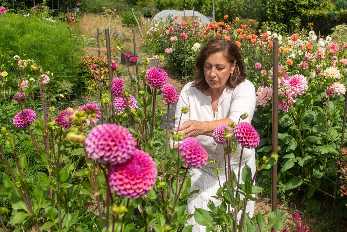 VICKY EN VLOMMA SU ESTUDIO VIVERO DE FLORES